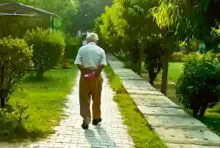 Senior Citizen Zone