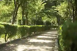 Walking Track